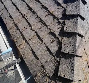 Asphalt shingle roof after loose moss has been cleared by hand, before chemical treatment