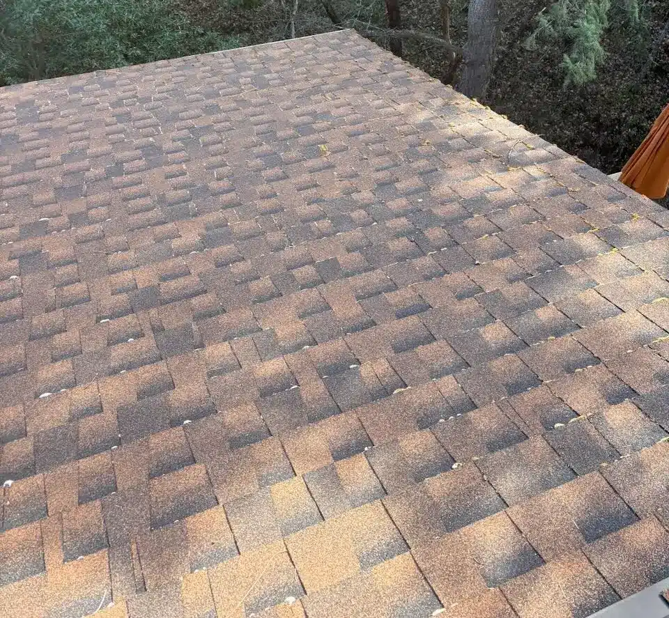Same Ashland roof 90 days after soft-wash moss treatment, moss cleared by rainfall