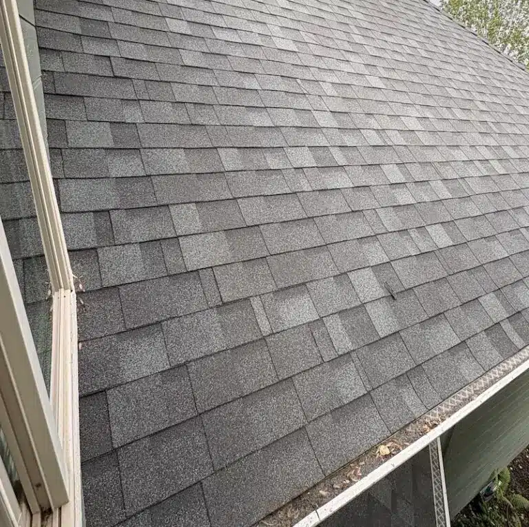 Same Eagle Point roof after soft-wash moss treatment, shingles clear of moss