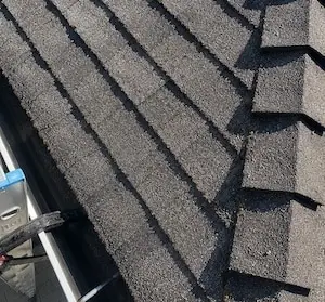 Asphalt shingle roof clear of moss after soft-wash treatment and natural weathering