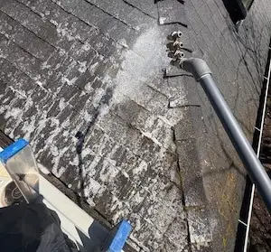 Low-pressure soft-wash treatment being applied to a mossy asphalt shingle roof